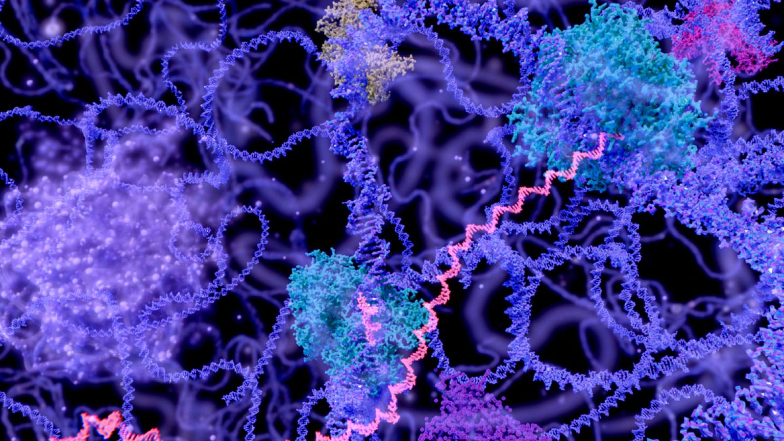 La inosina pudo estar en el origen de la vida en la Tierra