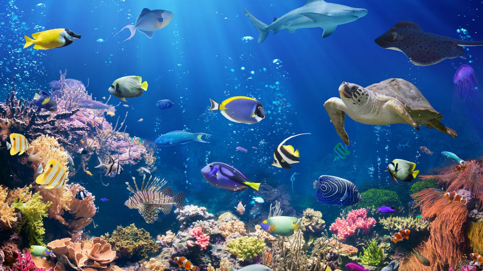 El calentamiento global provocó la mayor extinción de especies ocurrida hace 252 millones de años