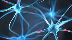 Un equipo de investigadores chilenos descubre que el manejo de la glucosa detiene el progreso del mal de Alzheimer