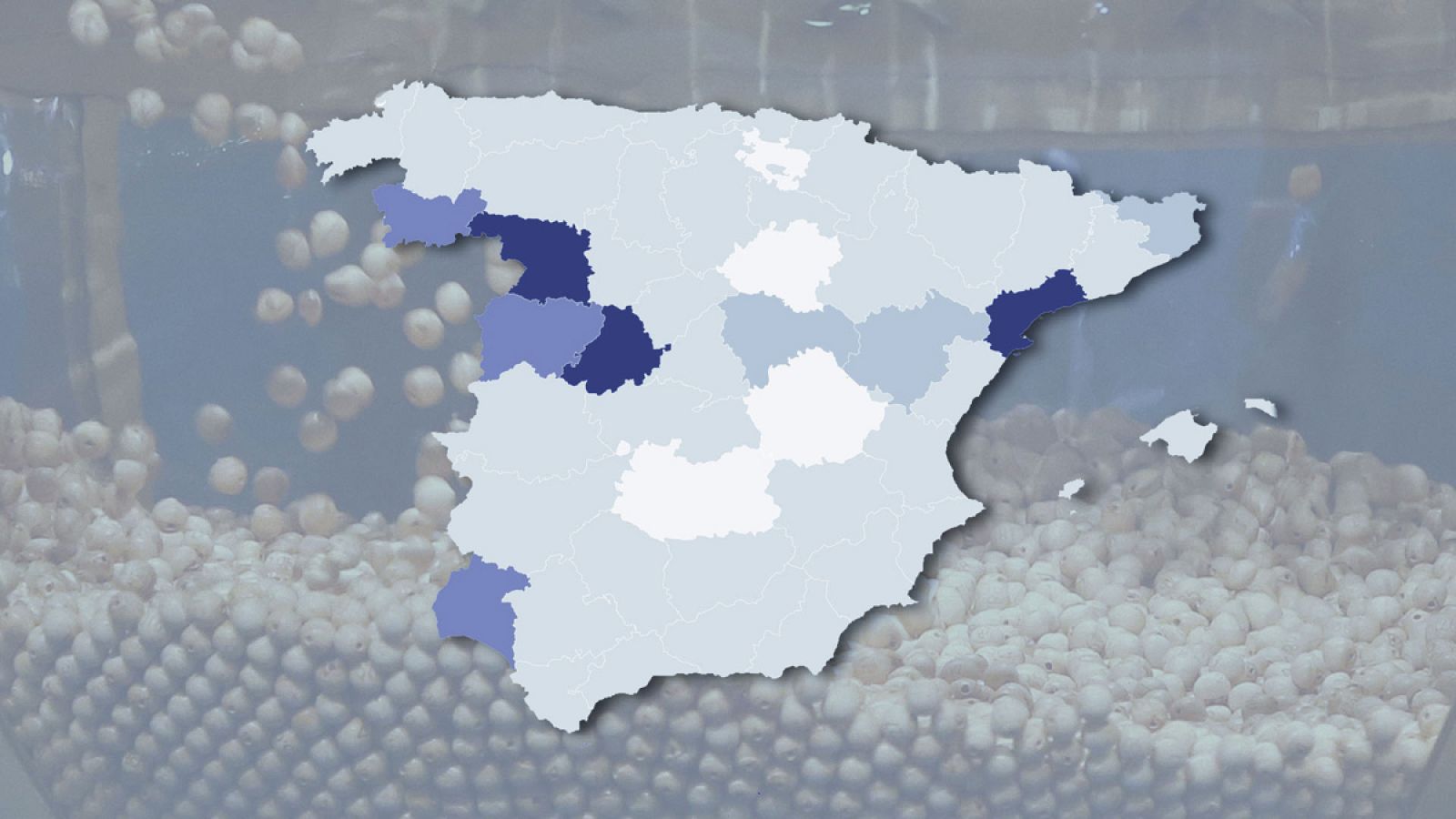 Consulta el mapa de las provincias con mala suerte en el sorteo del Gordo