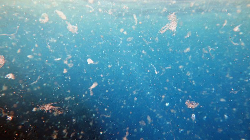 Los microplásticos también han llegado a la Fosa de las Marianas, el lugar más profundo del planeta