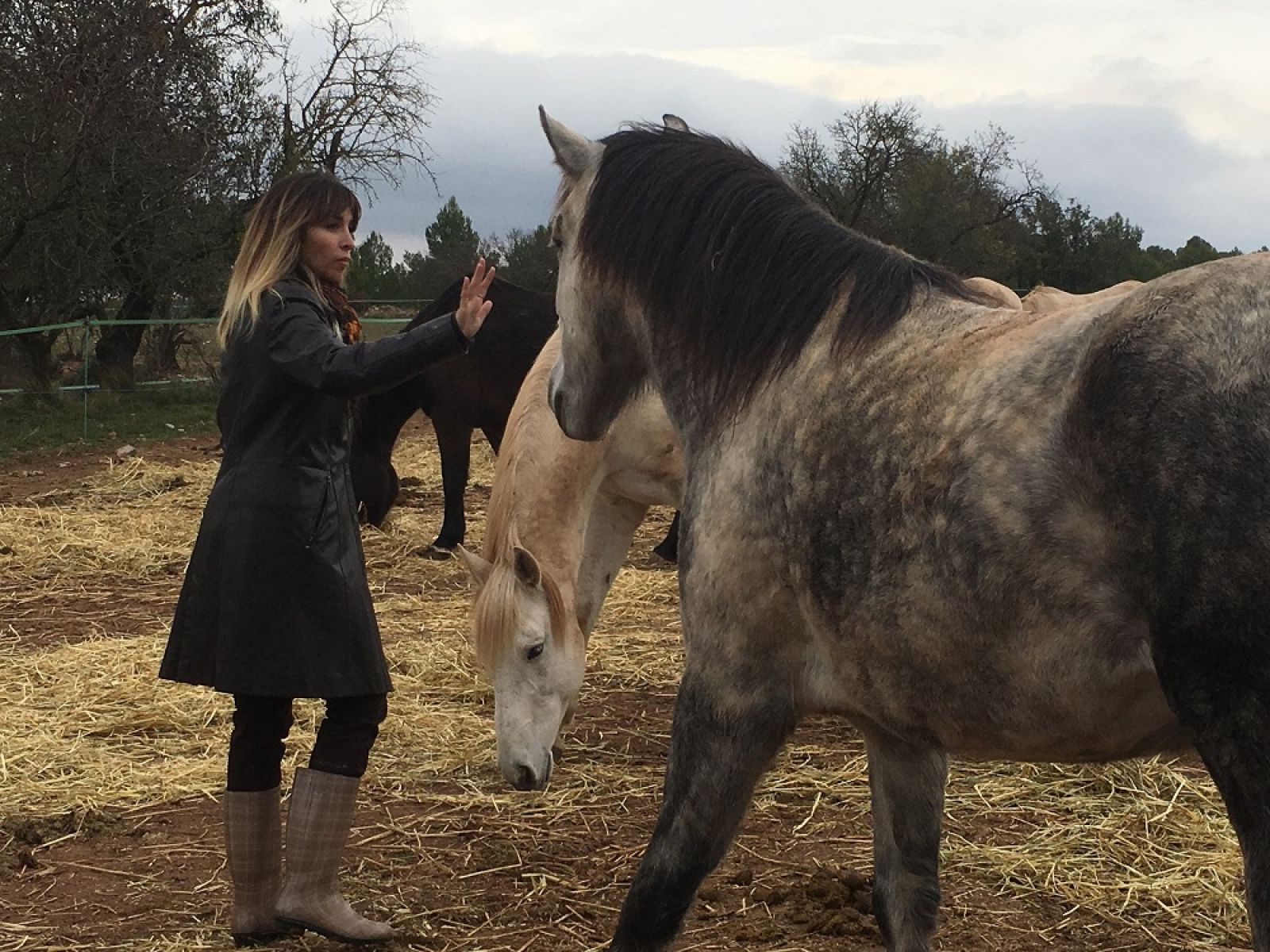 La meva mascota i jo