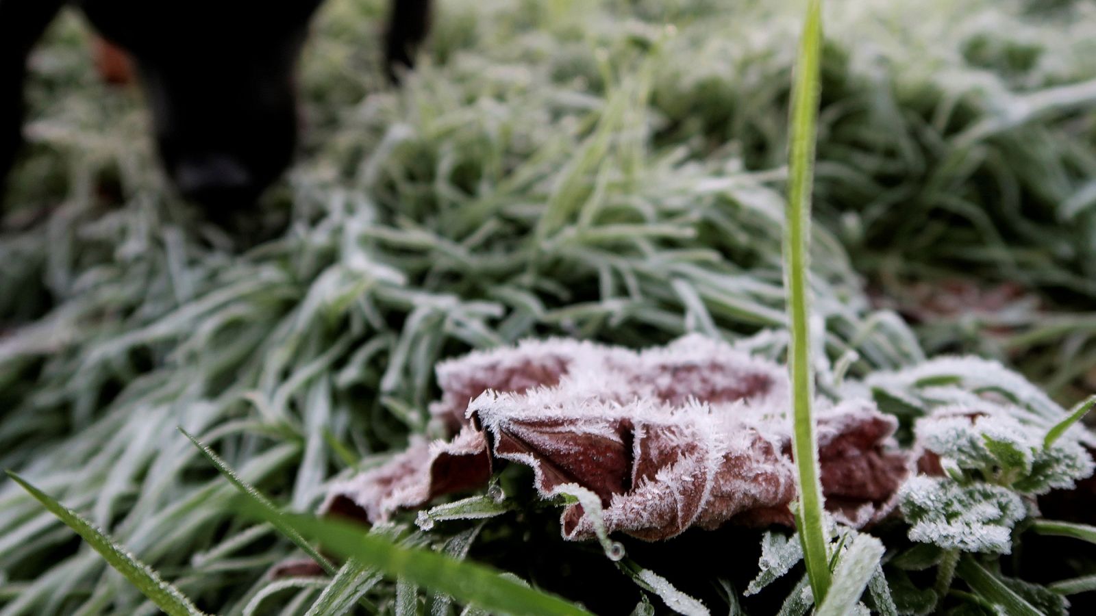 Heladas en las playas donostiarras