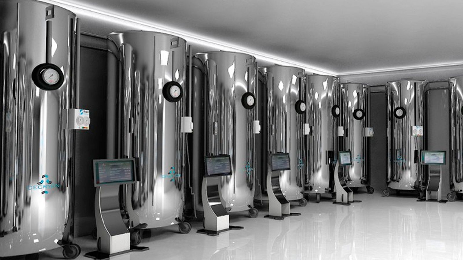 Ejemplo de las cápsulas de criogenización que publicita la empresa en su web