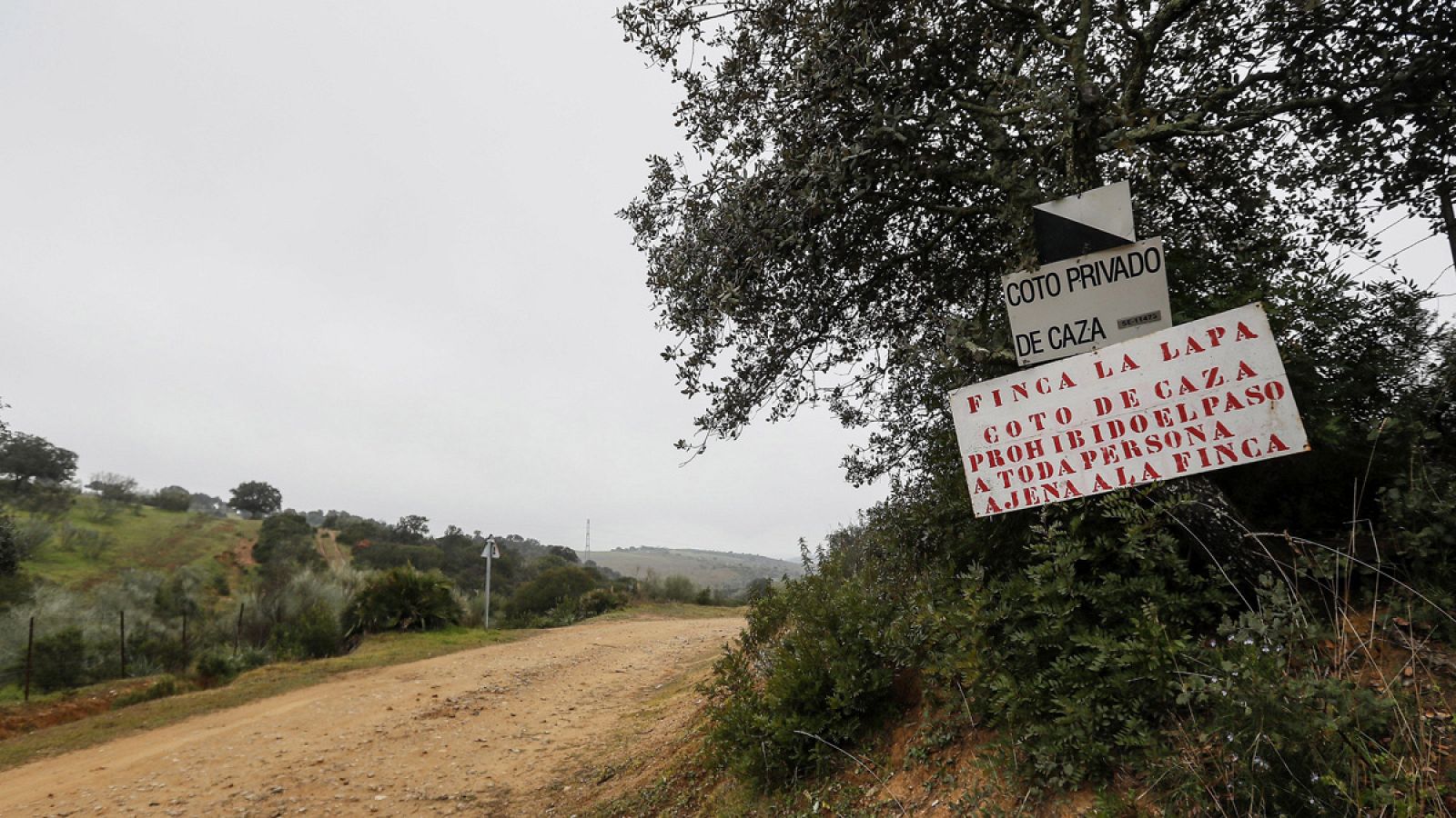 Finca La lapa, en Sevilla, donde un niño de cuatro años ha muerto al recibir un disparo durante una cacería