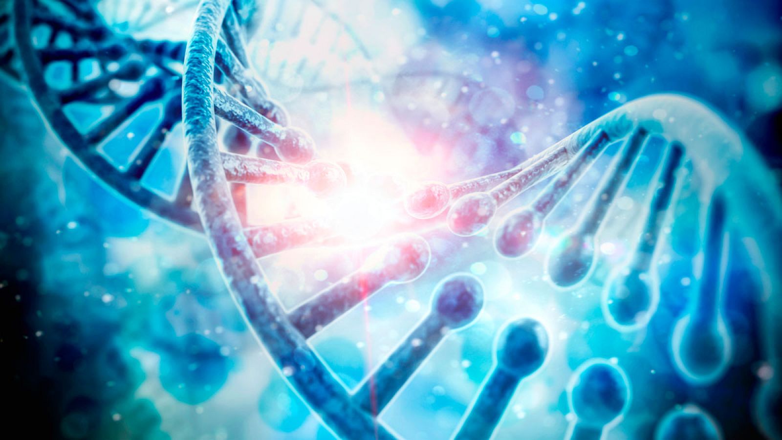 El nuevo mapa genético permite ver en detalle cómo funcionan los dos mecanismos responsables de que cada individuo de nuestra especie sea único.