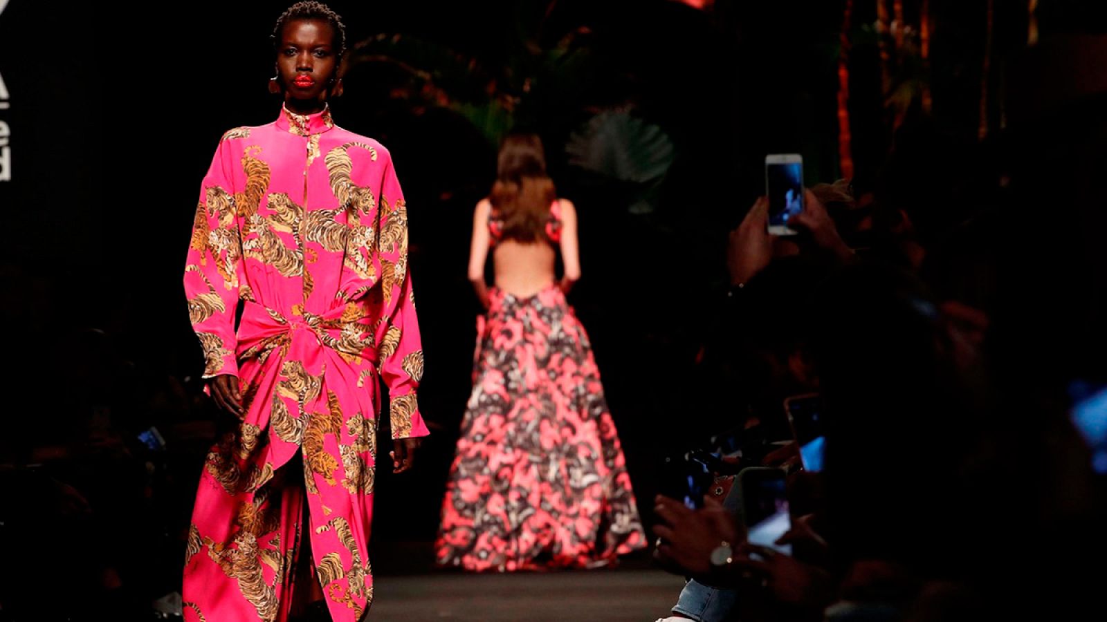 Dsefile de Jorge Vázquez