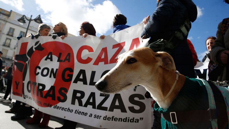 Manifestaciones en 35 ciudades piden que se prohíba la caza como actividad legal en España