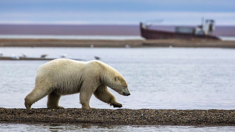 El deshielo en Groenlandia se está acelerando debido a un desconcertante aumento de las lluvias invernales