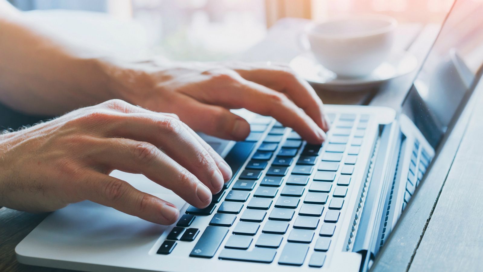 Un usuario navega por internet