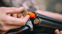 Las armas en España: pocas y muy controladas