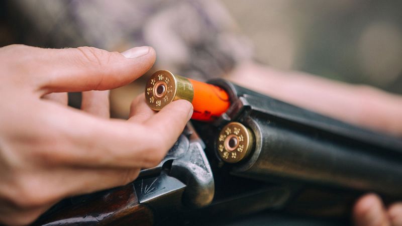 Las armas en España: pocas y muy controladas