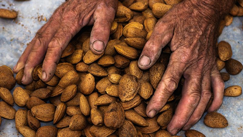 El consumo de frutos secos a largo plazo podría ser la clave para mejorar la salud cognitiva en ancianos