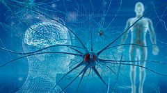 Demuestran que el cerebro humano genera nuevas neuronas hasta los 90 años