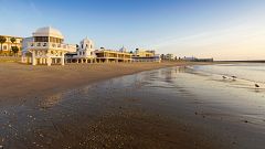 Descubiertas en La Caleta de Cádiz al menos diez especies marinas nuevas