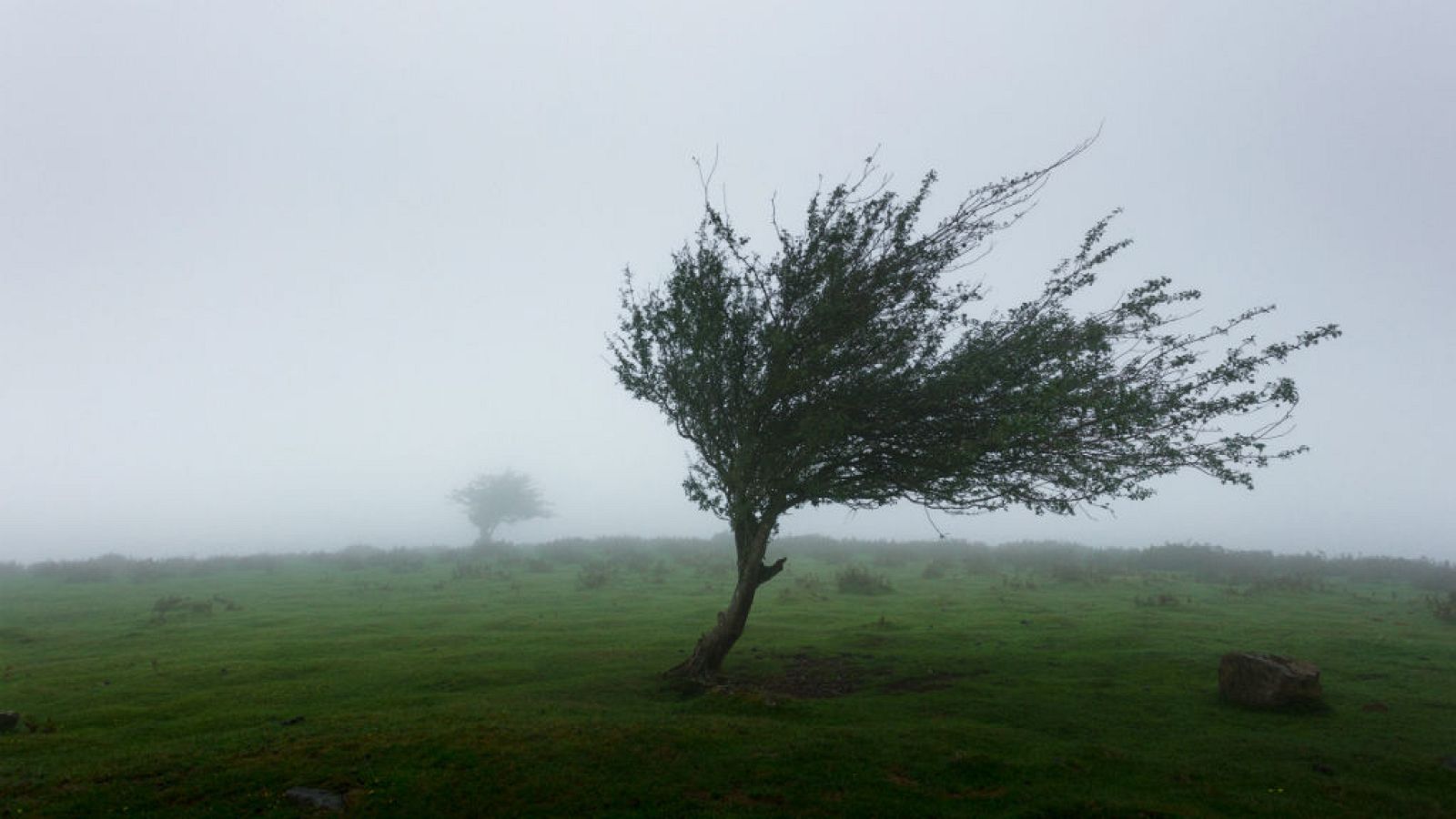 Cómo actuar en caso de viento fuerte
