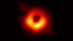 Un equipo de científicos desvela la primera imagen de un agujero negro