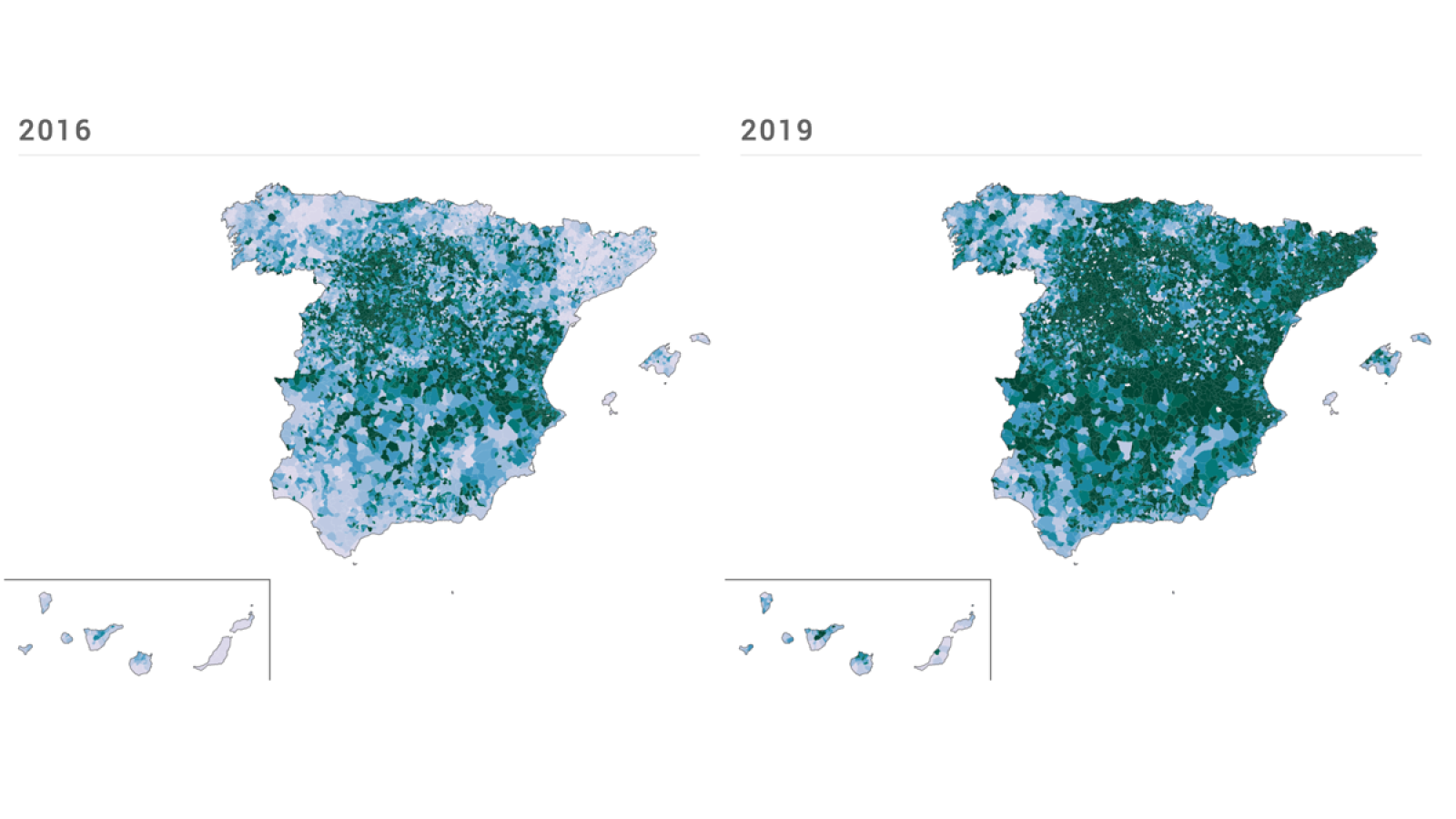 Evolución de la participación de 2016 a 2019