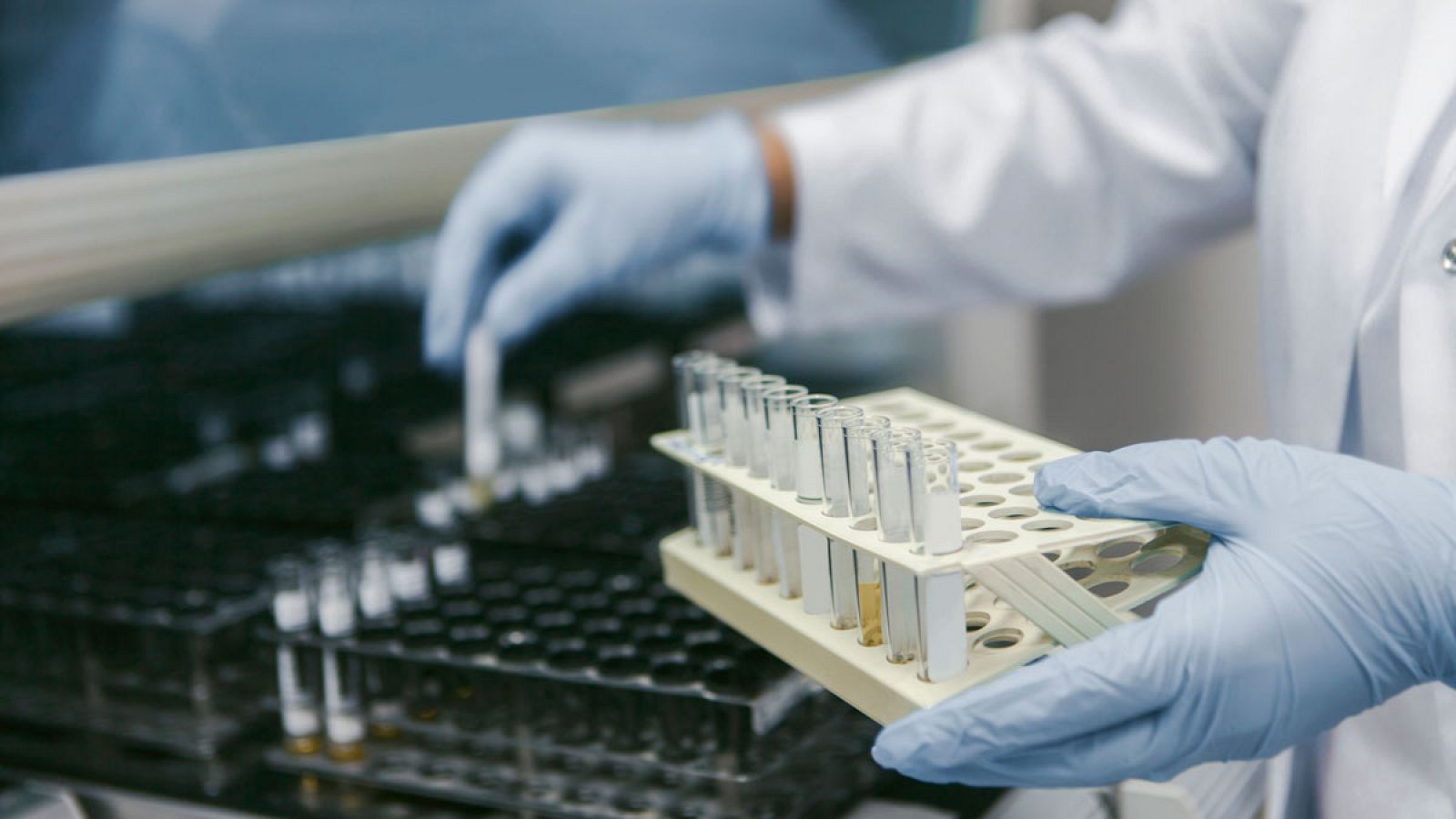 El nuevo descubrimiento podría ayudar a crear nuevas terapias oncológicas.