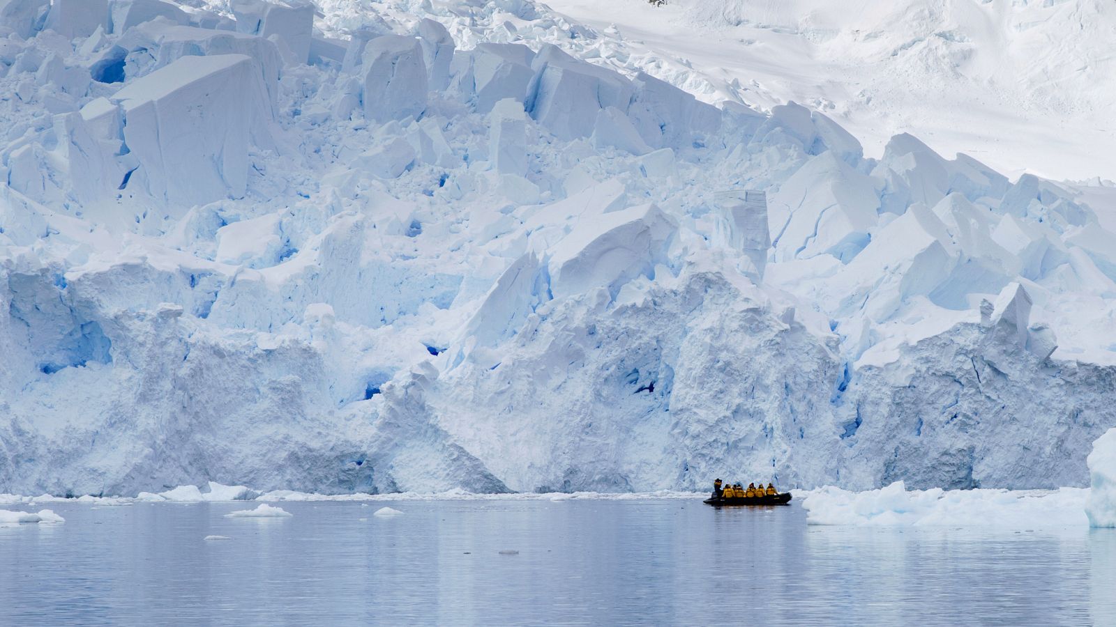 Las muestras fueron recogidas entre 2009 y 2013 dentro del proyecto de exploración de los océanos Tara.