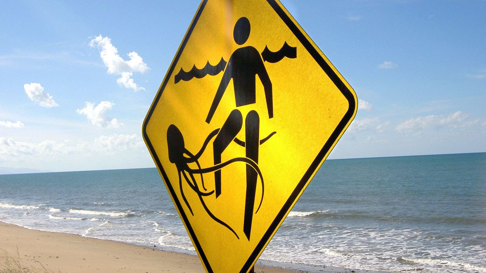 Científicos australianos han desarrollado un antídoto contra la picadura de medusa de caja mediante técnicas de edición genética CRISPR.