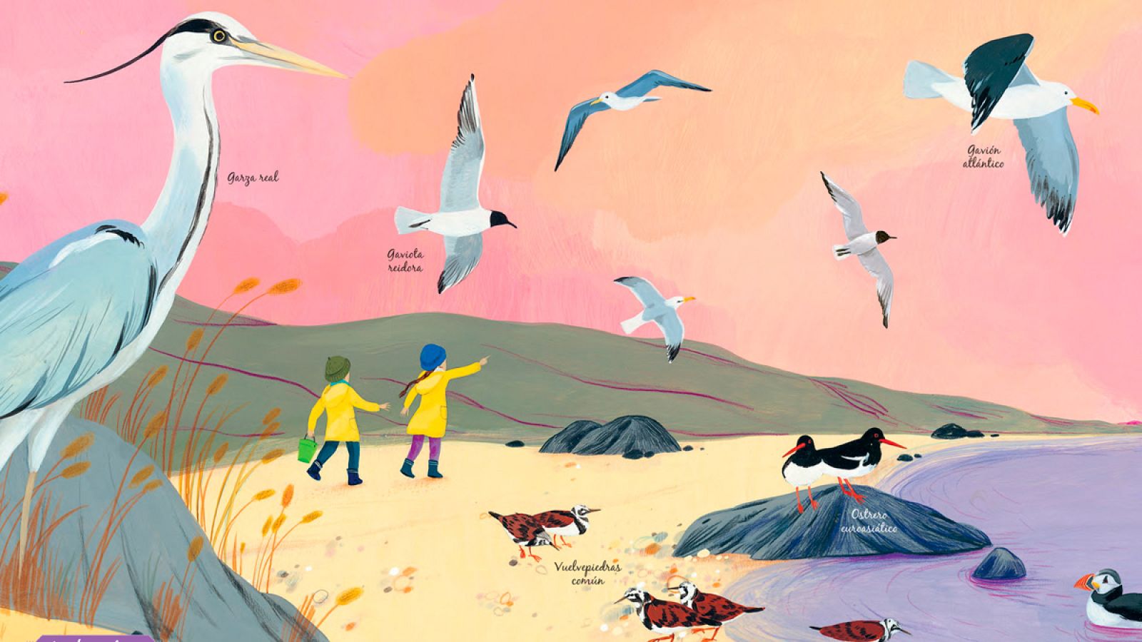 Ilustración de 'El libro de los pájaros'