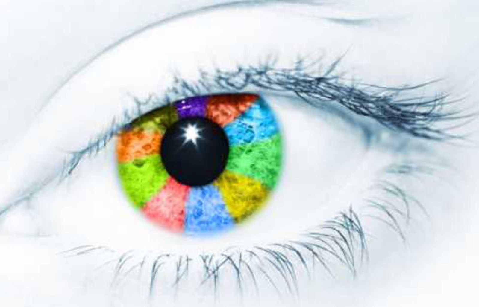 Premis Miramar a la creativitat