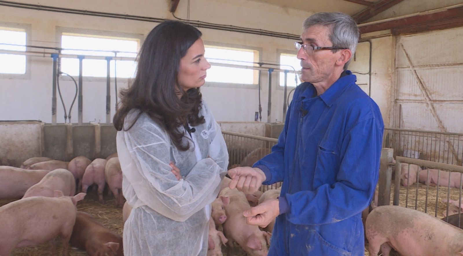 España es el mayor productor de cerdo de Europa, un negocio que genera más excremento que carne