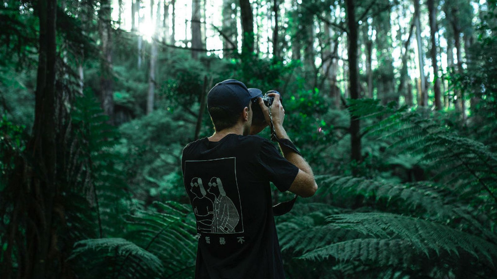 Animales que solo podrás ver en foto si no cuidamos el Medio Ambiente