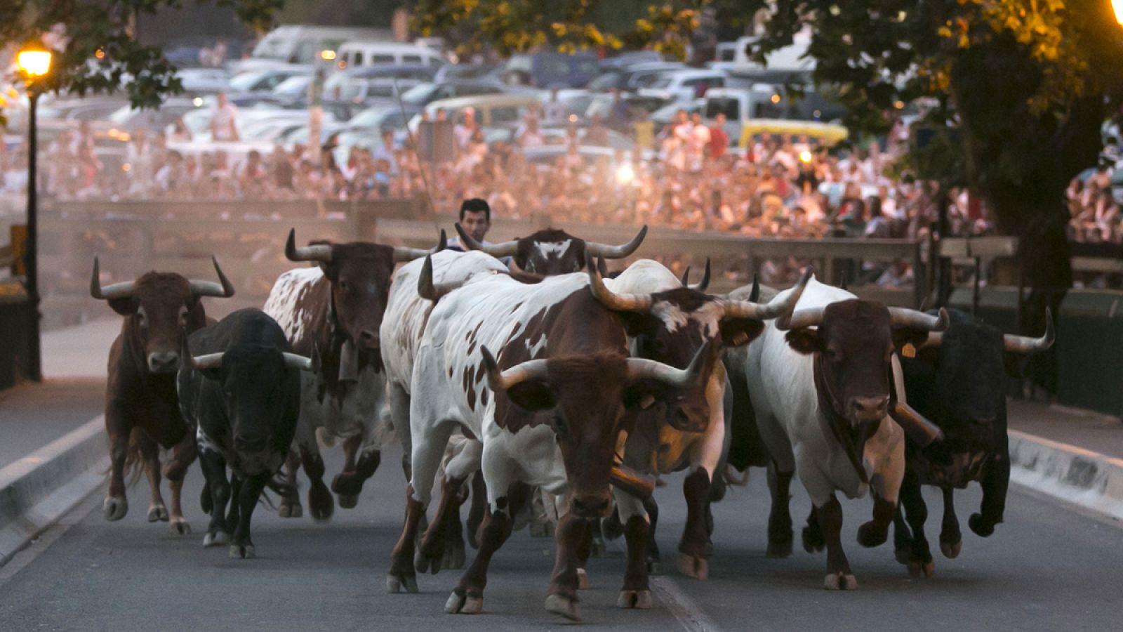 Imagen de los encierrillos que se celebran el día antes del encierro de Sanfermines