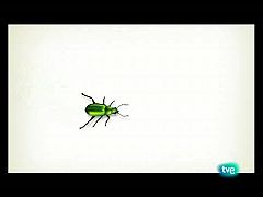 ¡Quiero ser un mono! en El escarabajo verde