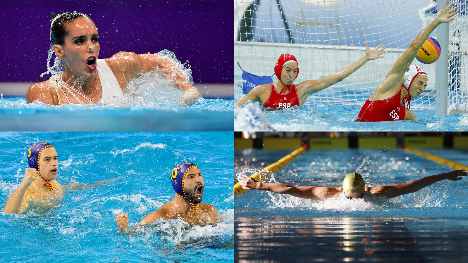 Miembros de la delegación española en el Mundial de natación de Gwangju