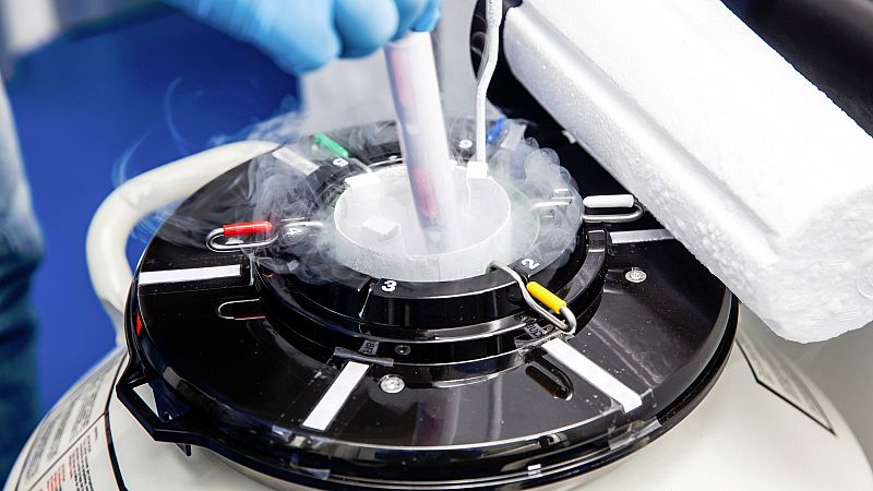 El semen congelado es viable para reproducir humanos fuera de la Tierra