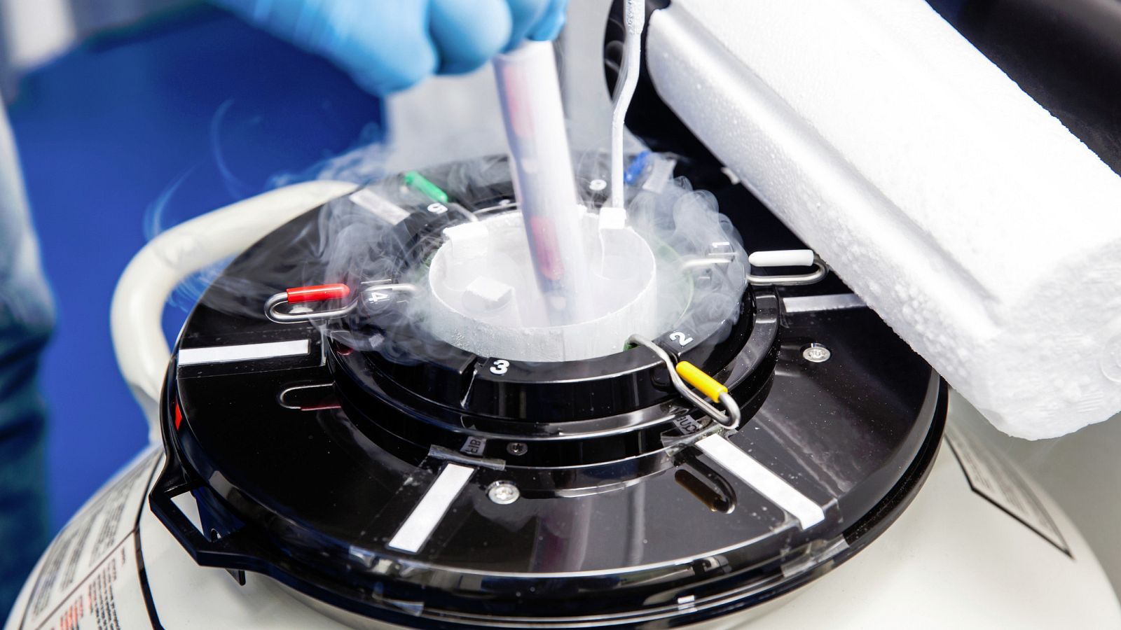 Los científicos se preguntan: "Si en un futuro tenemos que reproducirnos fuera de la Tierra, ¿cómo debería ser?".