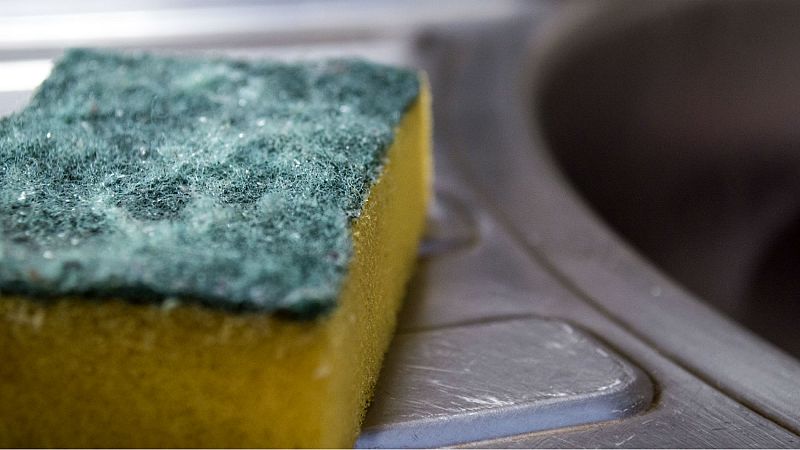 Los estropajos usados podrían esconder la clave de la lucha contra las superbacterias 