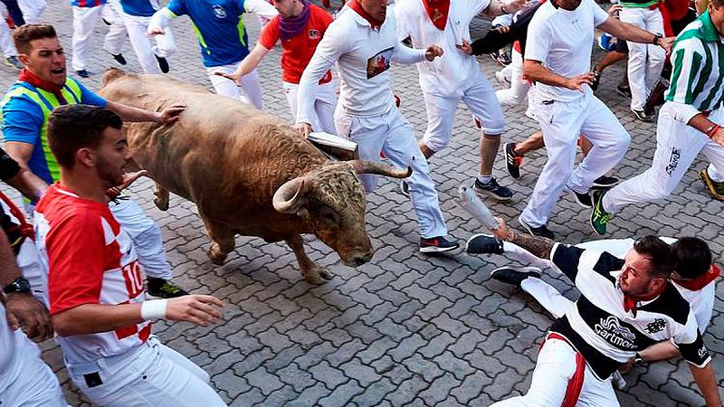 Ganadería Núñez del Cuvillo, toros bravos de verdad