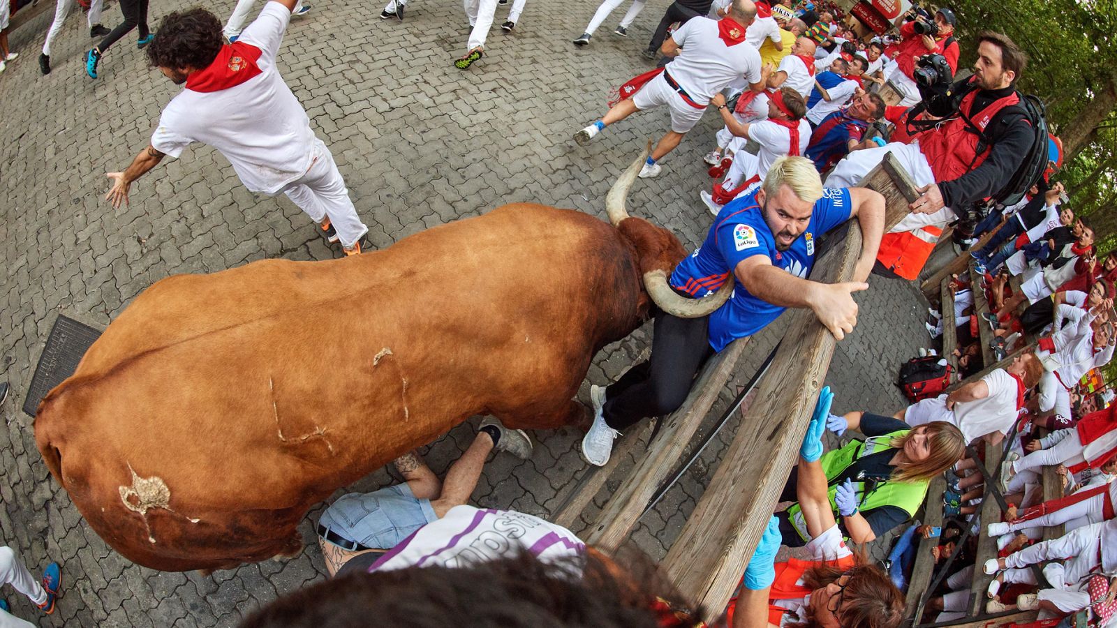 El miura Rabanero ha corneado a tres de los heridos por asta de toro estos Sanfermines 2019