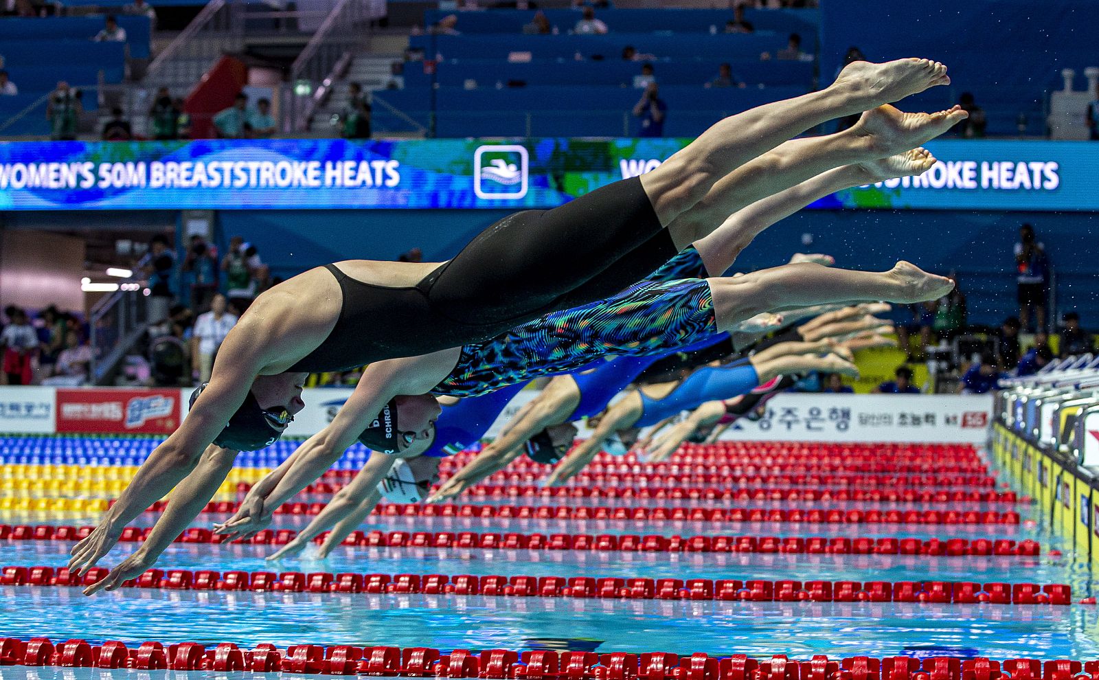 Las nadadoras de una serie de los 50 braza se lanzan a la piscina