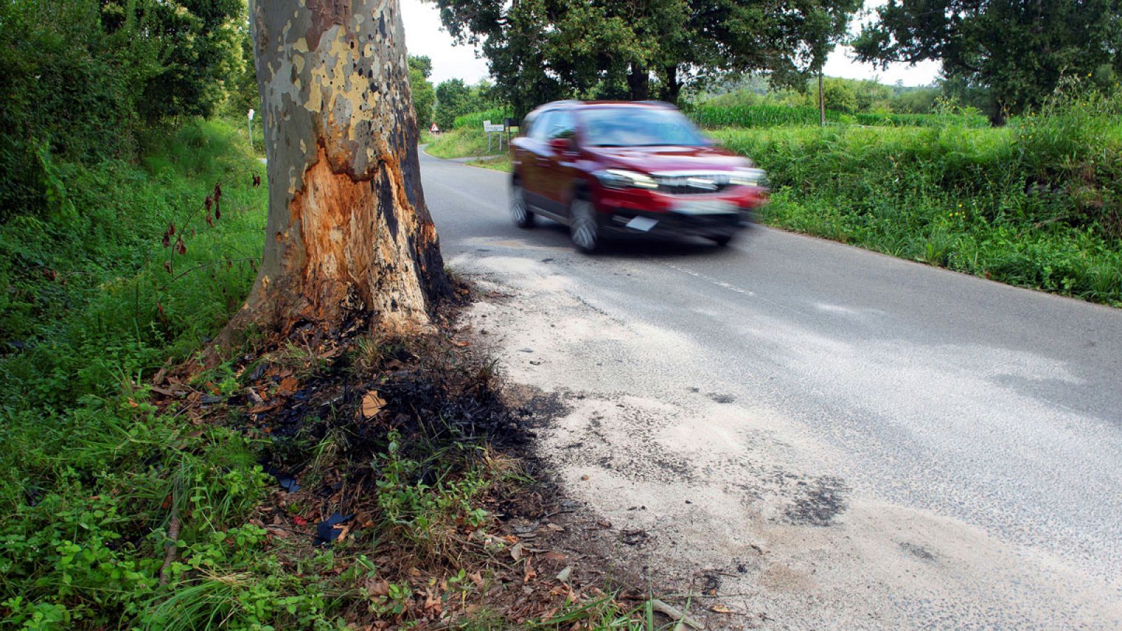 Vista del lugar del accidente de tráfico en el que ayer lunes murió el asesino de la mujer de 52 años en Escalante.
