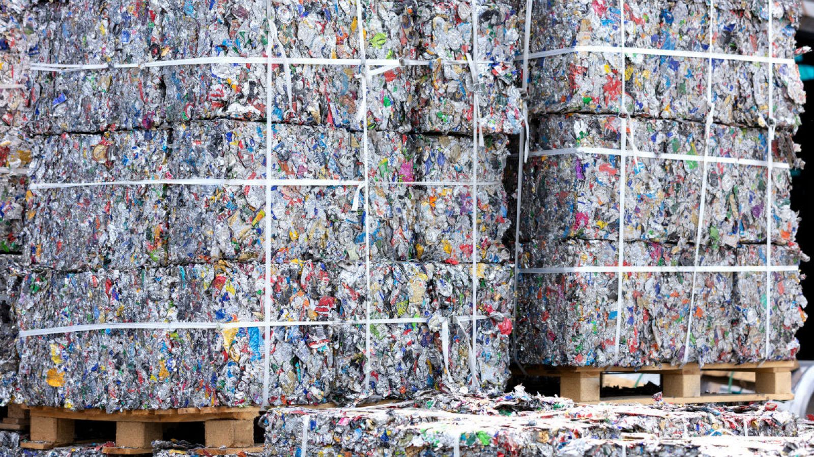 Los delitos medioambientales se han disparado en los últimos años