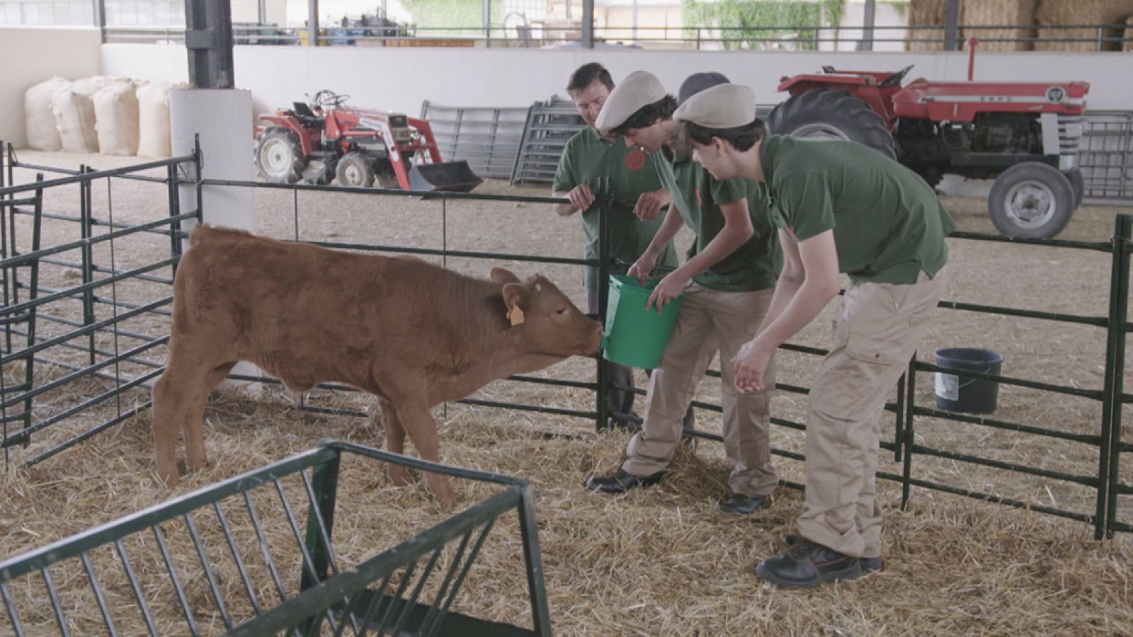 Los Javis serán granjeros en Trabajo temporal