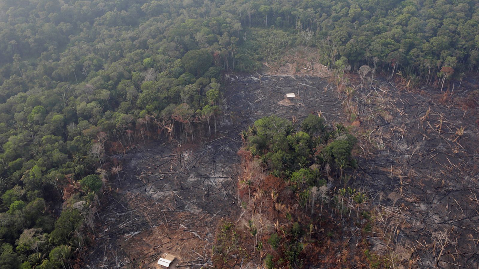 La Fiscalía federal de Brasil investiga la deforestación y los incendios en la Amazonía