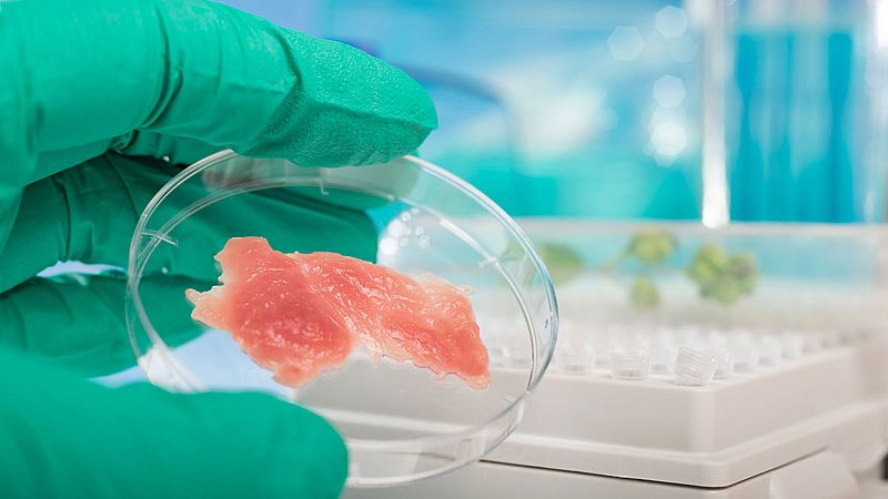 El origen, los casos, los síntomas... Diez claves para entender el brote de listeriosis