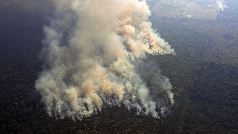 La tragedia por los incendios en Amazonia renueva la alarma sobre el aumento de la deforestación 
