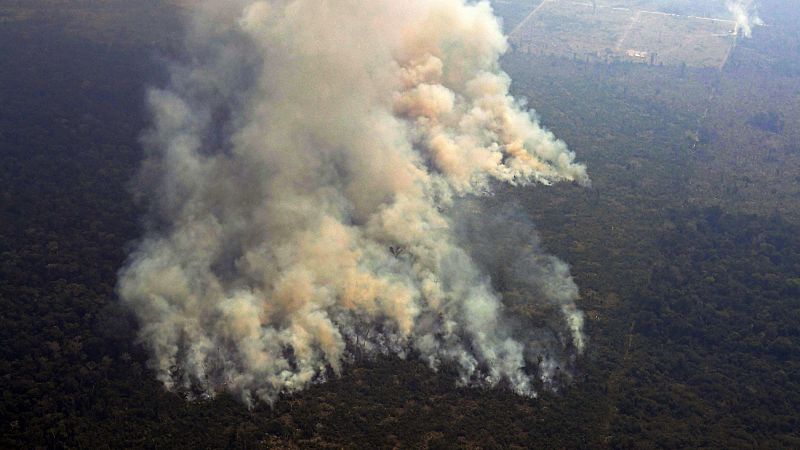 La tragedia por los incendios en Amazonia renueva la alarma sobre el aumento de la deforestación 