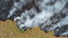 Bolsonaro dice que aceptará ayuda del G7 para la Amazonia si Macron se retracta