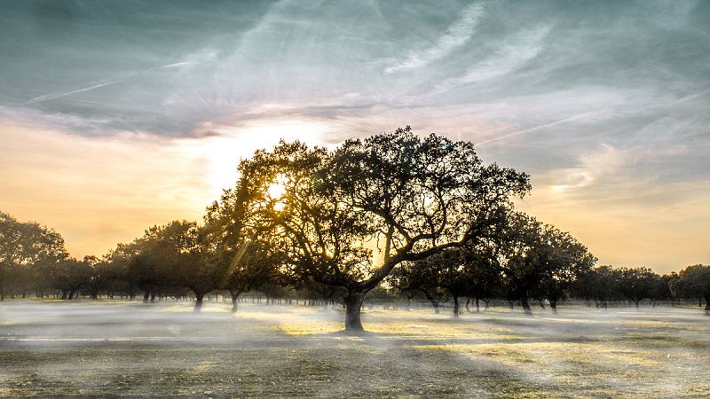 Los humanos causaron un cambio ambiental significativo hace unos 3000 años