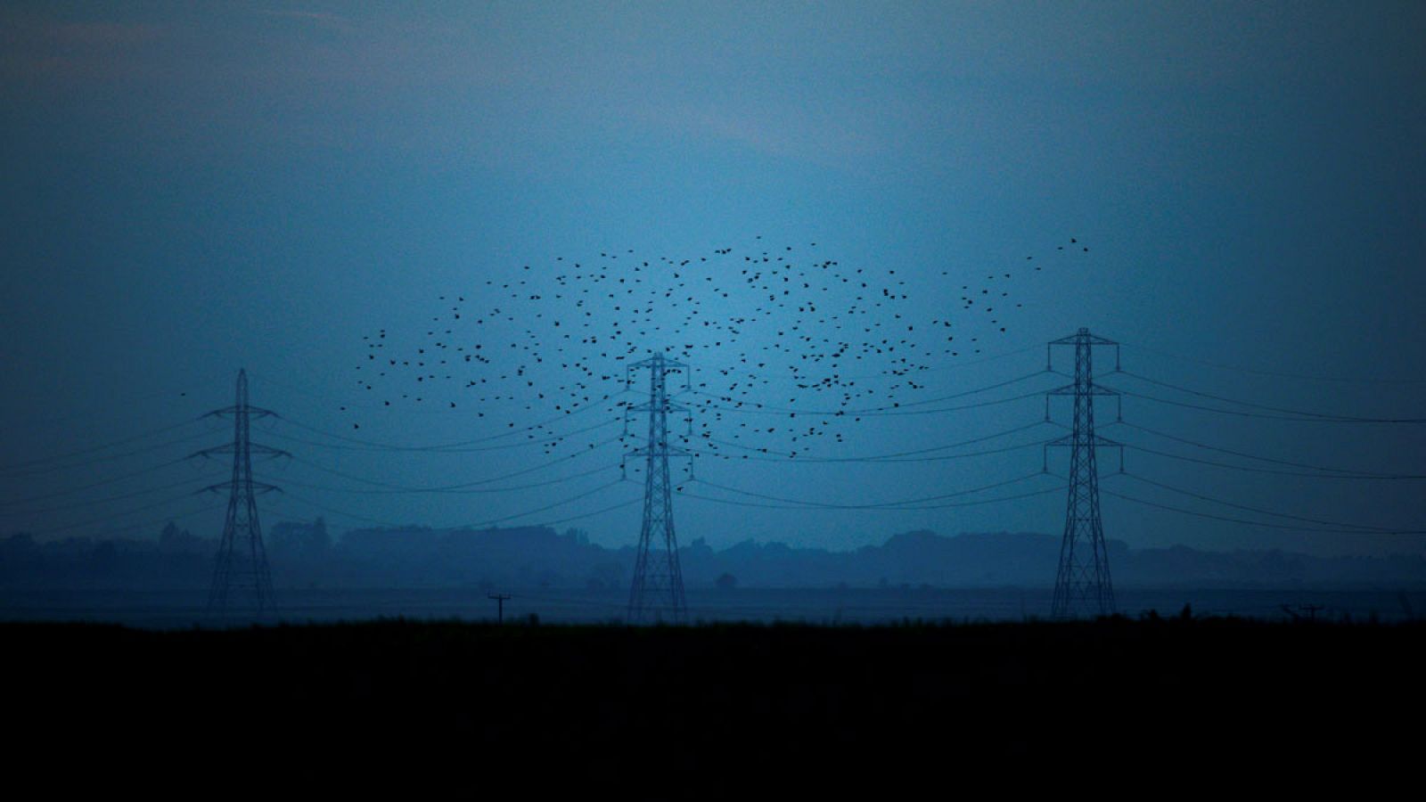 El precio de la electricidad ha bajado un 12,7% interanual en agosto