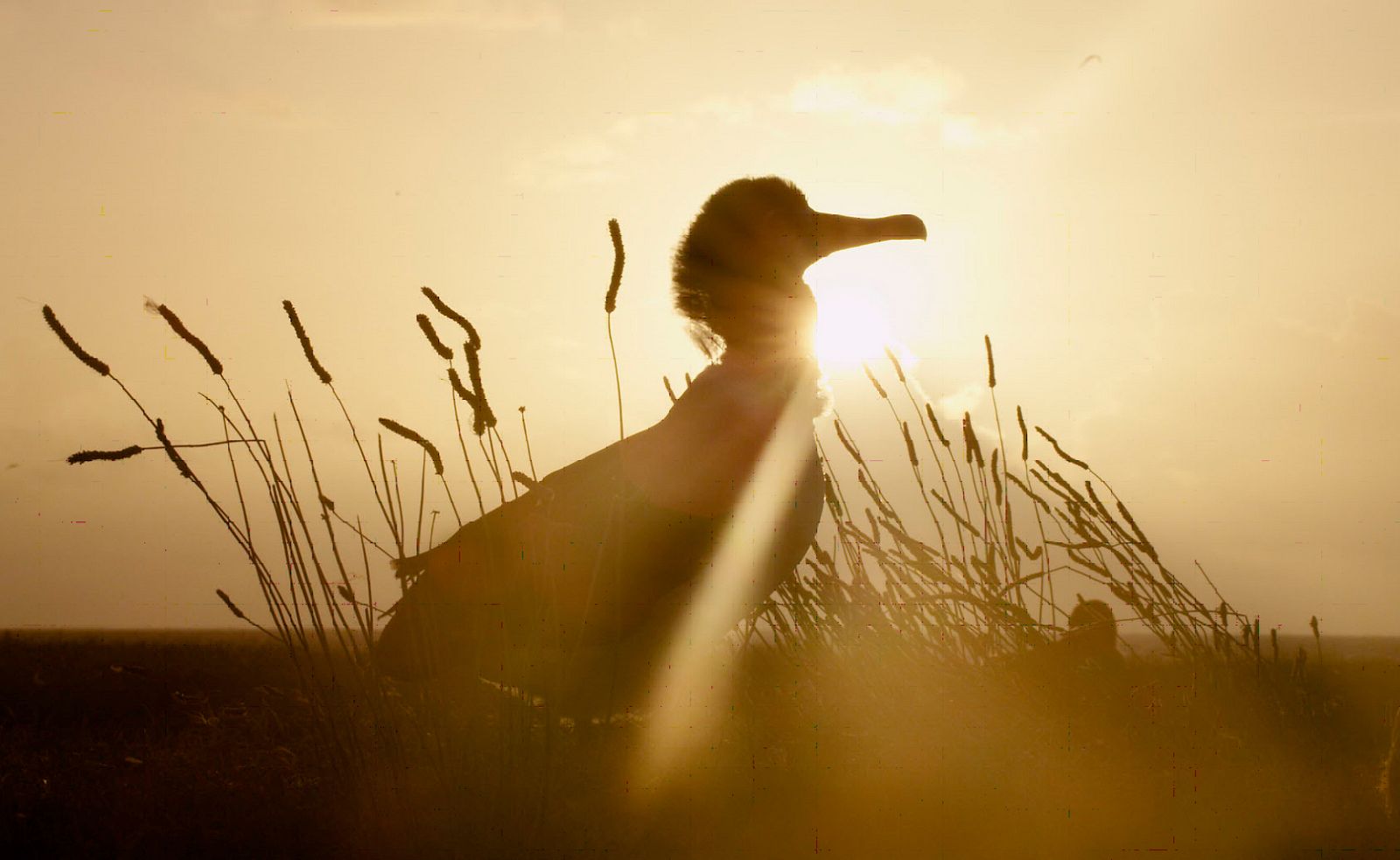 Metrópolis: exposición Eco-visionarios en Gijón