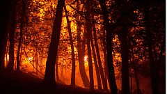Los incendios arrasan casi cuatro veces más de superficie que el año pasado